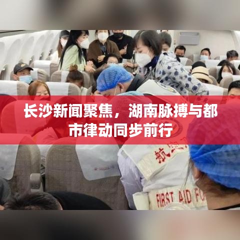 长沙新闻聚焦，湖南脉搏与都市律动同步前行