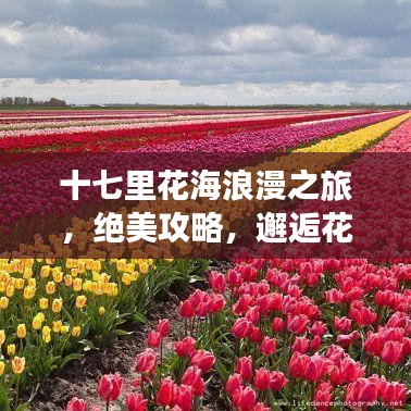 十七里花海浪漫之旅,绝美攻略,邂逅花海中的诗与远方