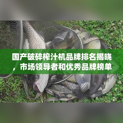 国产破碎榨汁机品牌排名揭晓，市场领导者和优秀品牌榜单！