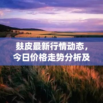 麸皮最新行情动态，今日价格走势分析及市场趋势预测