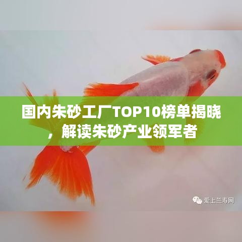 国内朱砂工厂TOP10榜单揭晓，解读朱砂产业领军者