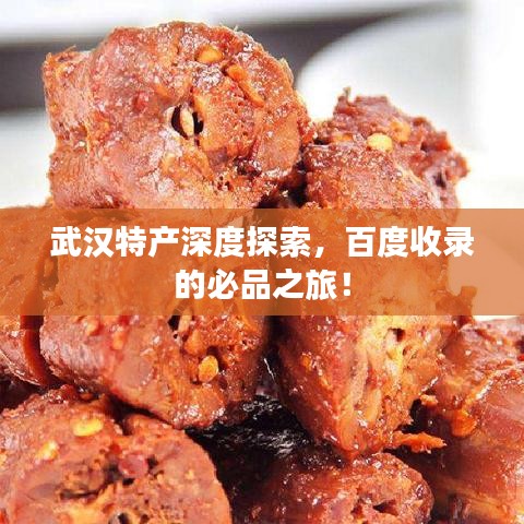 武汉特产深度探索，百度收录的必品之旅！