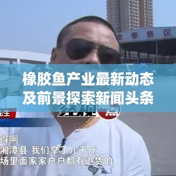 橡胶鱼产业最新动态及前景探索新闻头条速递