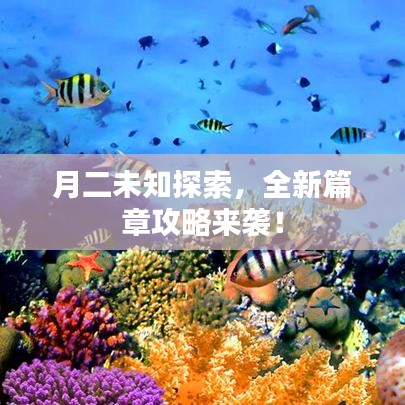 月二未知探索，全新篇章攻略来袭！