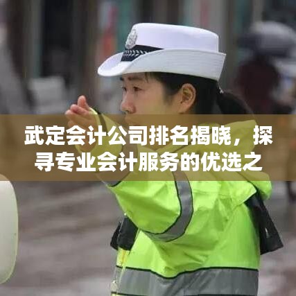武定会计公司排名揭晓，探寻专业会计服务的优选之选！