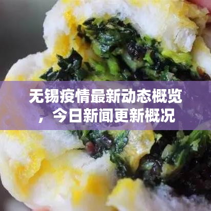 无锡疫情最新动态概览，今日新闻更新概况