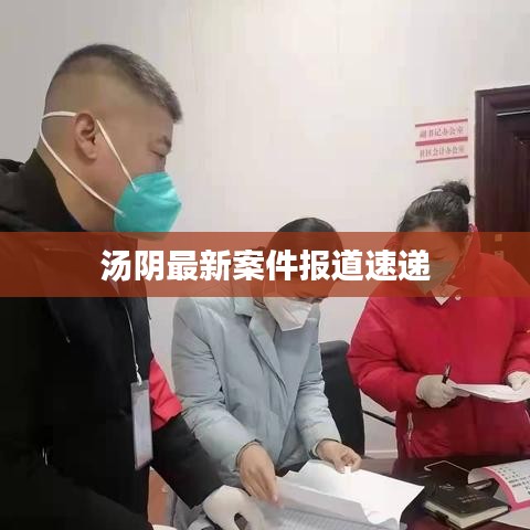 汤阴最新案件报道速递