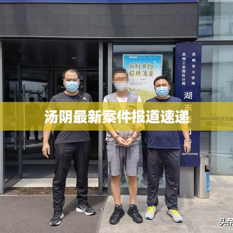 汤阴最新案件报道速递