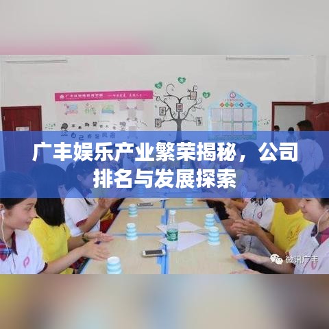 广丰娱乐产业繁荣揭秘，公司排名与发展探索