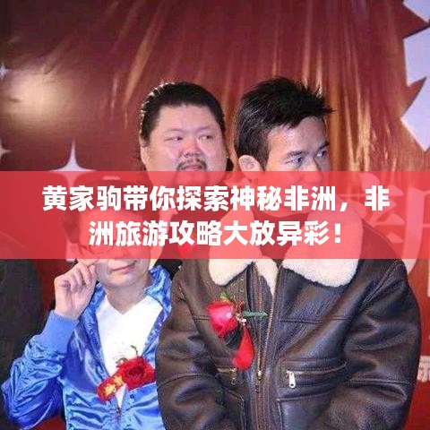 黄家驹带你探索神秘非洲，非洲旅游攻略大放异彩！