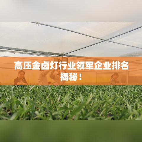 高压金卤灯行业领军企业排名揭秘！