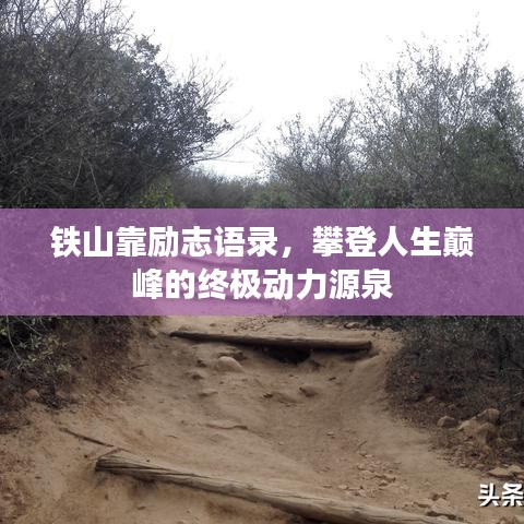 铁山靠励志语录，攀登人生巅峰的终极动力源泉