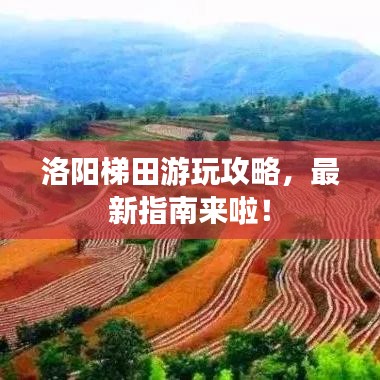 洛阳梯田游玩攻略，最新指南来啦！