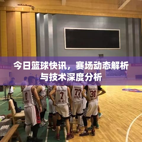 今日篮球快讯，赛场动态解析与技术深度分析
