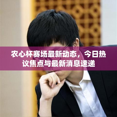 农心杯赛场最新动态，今日热议焦点与最新消息速递