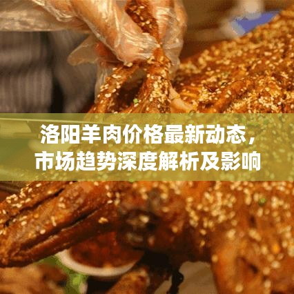 洛阳羊肉价格最新动态，市场趋势深度解析及影响因素全解析