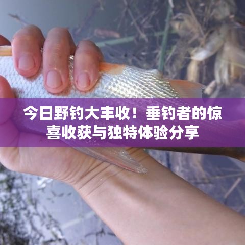 今日野钓大丰收！垂钓者的惊喜收获与独特体验分享