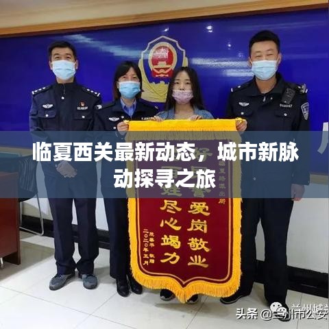 临夏西关最新动态，城市新脉动探寻之旅