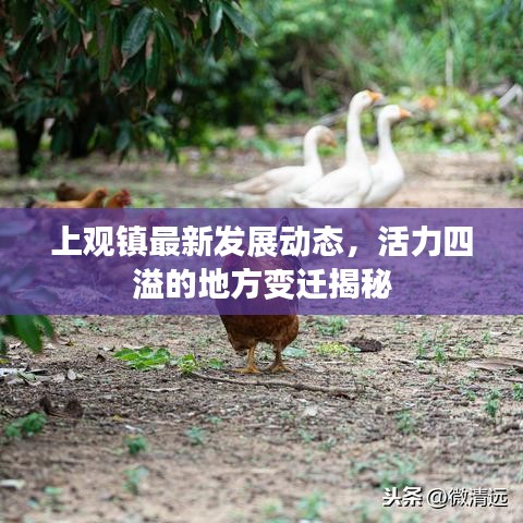 上观镇最新发展动态，活力四溢的地方变迁揭秘