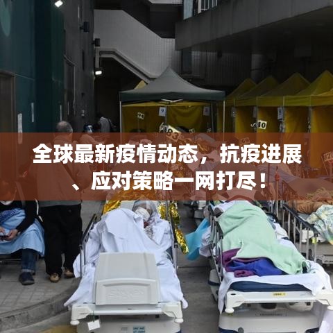 全球最新疫情动态,抗疫进展、应对策略一网打尽!