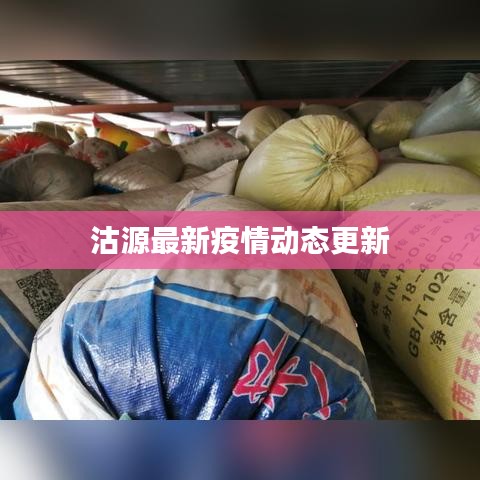 沽源最新疫情动态更新