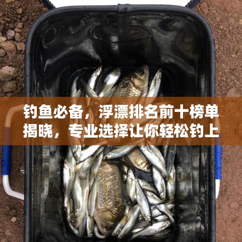 钓鱼必备，浮漂排名前十榜单揭晓，专业选择让你轻松钓上大鱼！