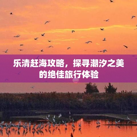 乐清赶海攻略，探寻潮汐之美的绝佳旅行体验