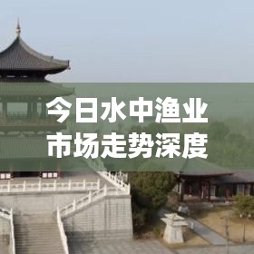 今日水中渔业市场走势深度解析