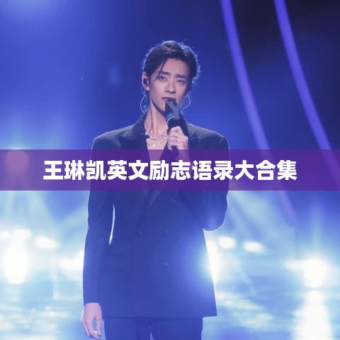 王琳凯英文励志语录大合集