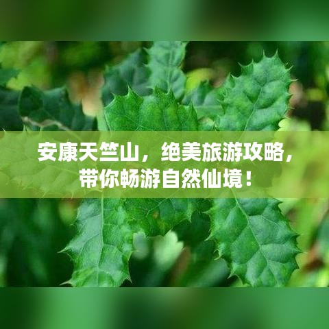 安康天竺山，绝美旅游攻略，带你畅游自然仙境！
