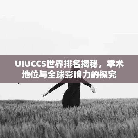 UIUCCS世界排名揭秘，学术地位与全球影响力的探究