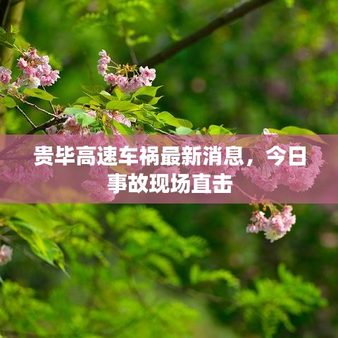 鸟云之阵 第7页