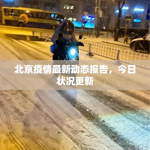 北京疫情最新动态报告，今日状况更新