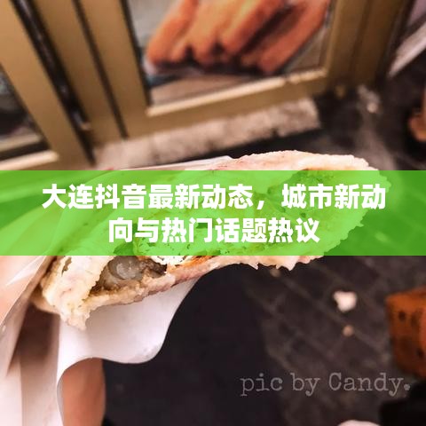 大连抖音最新动态，城市新动向与热门话题热议