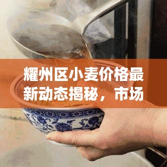 耀州区小麦价格最新动态揭秘，市场走势分析与预测