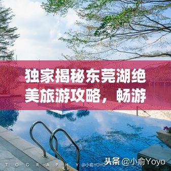 独家揭秘东莞湖绝美旅游攻略，畅游湖光山色，尽享自然盛宴