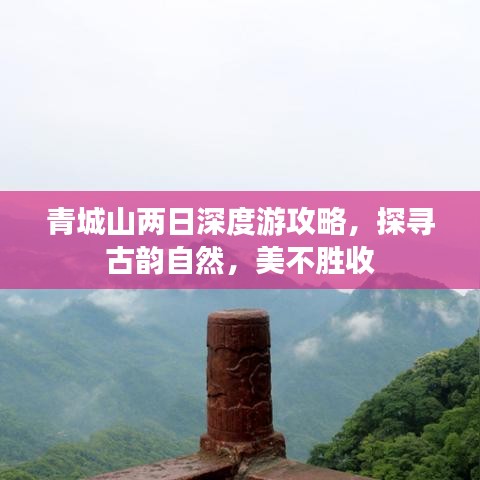 地覆天翻 第9页