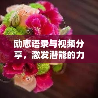 励志语录与视频分享，激发潜能的力量源泉集锦