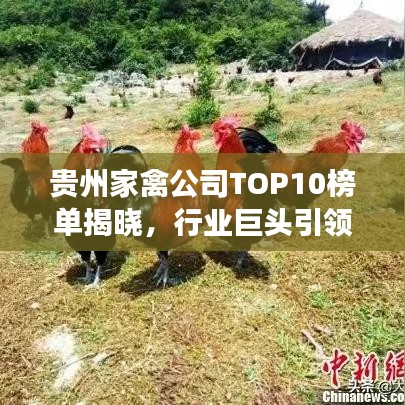 贵州家禽公司TOP10榜单揭晓，行业巨头引领发展潮流