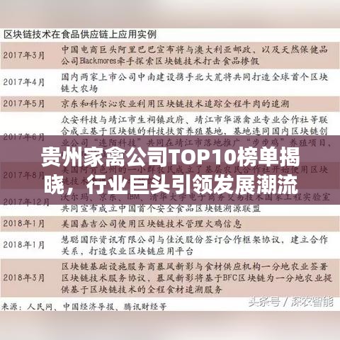 贵州家禽公司TOP10榜单揭晓,行业巨头引领发展潮流