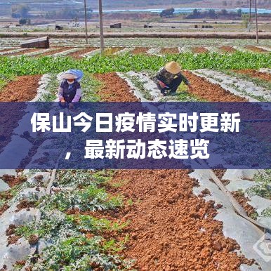 保山今日疫情实时更新，最新动态速览