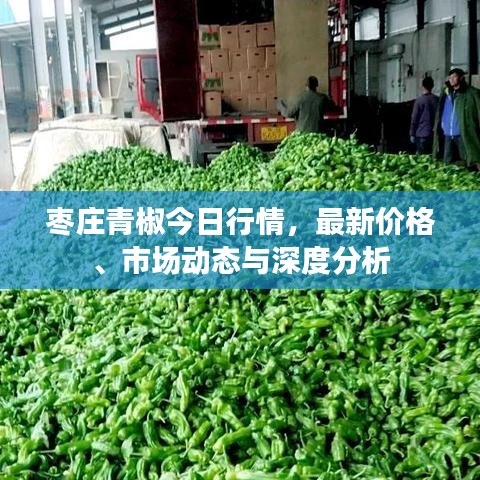 枣庄青椒今日行情，最新价格、市场动态与深度分析