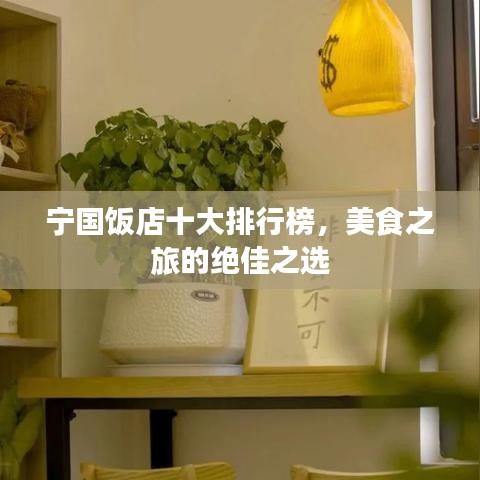 宁国饭店十大排行榜，美食之旅的绝佳之选