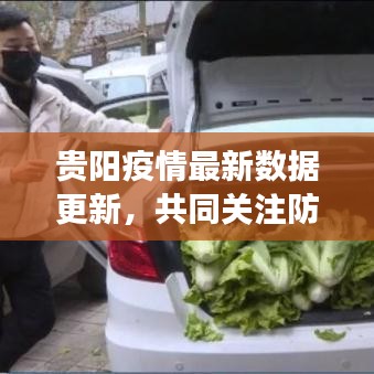 贵阳疫情最新数据更新，共同关注防控进展