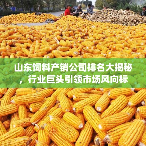 山东饲料产销公司排名大揭秘,行业巨头引领市场风向标