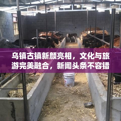 乌镇古镇新颜亮相，文化与旅游完美融合，新闻头条不容错过