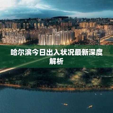 哈尔滨今日出入状况最新深度解析