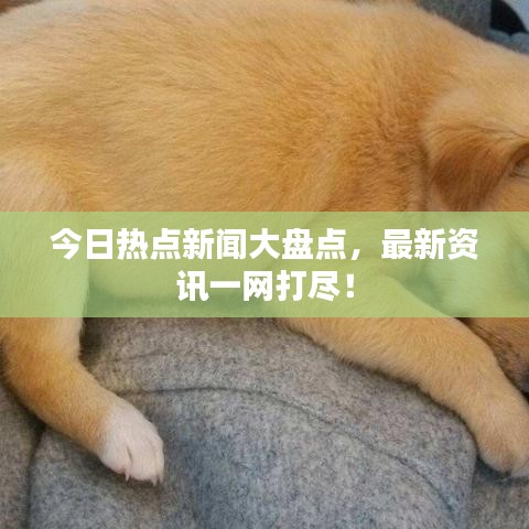 今日热点新闻大盘点，最新资讯一网打尽！