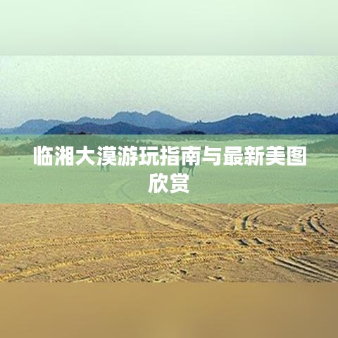 临湘大漠游玩指南与最新美图欣赏