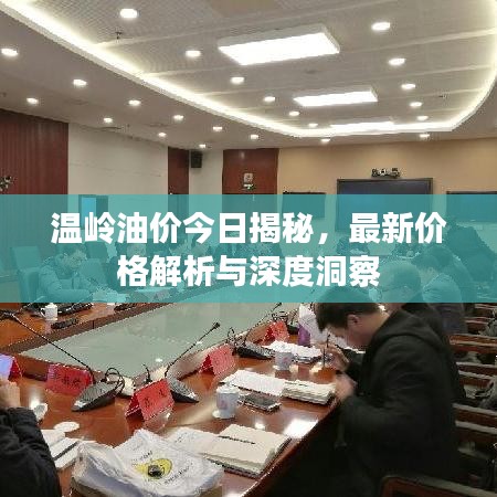 温岭油价今日揭秘，最新价格解析与深度洞察